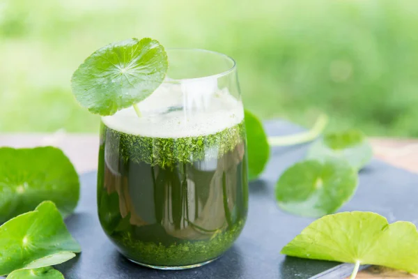 suco verde
