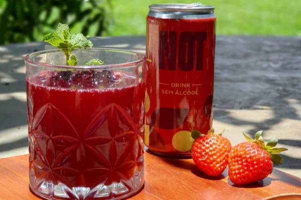 Drinque enlatado sem álcool