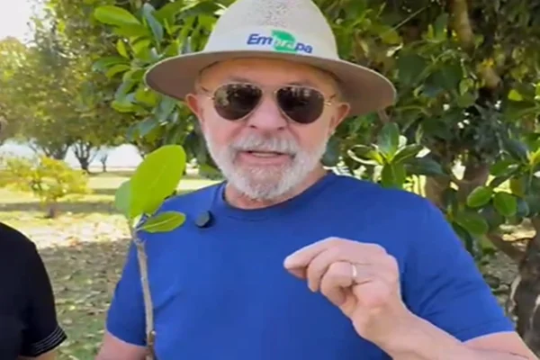 Imagem colorida de Lula com muda de cajueiro na mão