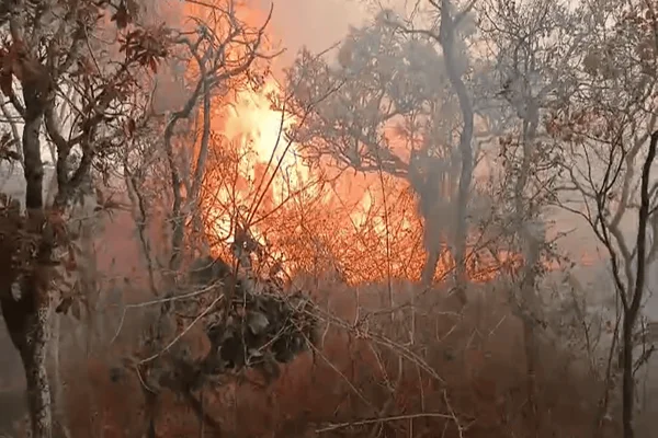 “Vou ter que sair”, disse morador que teve casa ameaçada por incêndio