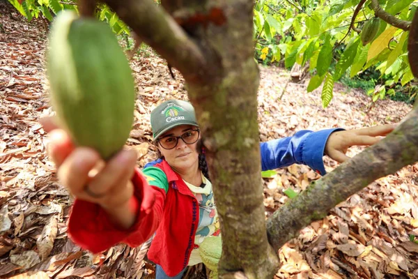 Pará é o 1º do Brasil a criar lei de responsabilidade ambiental