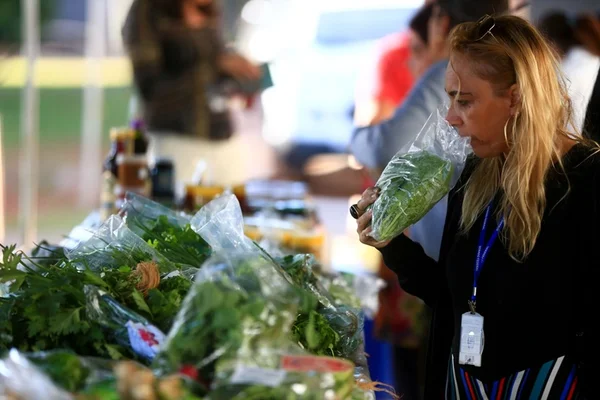 Lei que proíbe sacolas plásticas começa a valer no DF