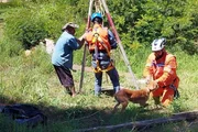 Vira-lata caramelo cai em poço de 5 metros e é resgatado pela Defesa Civil