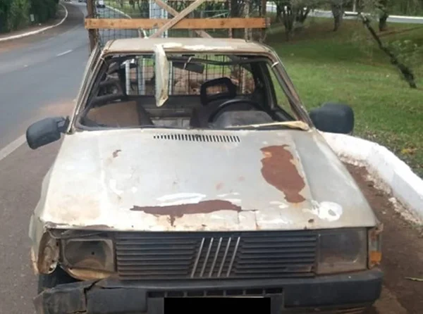 Motorista bêbado e sem CNH se envolve em acidente e acaba preso