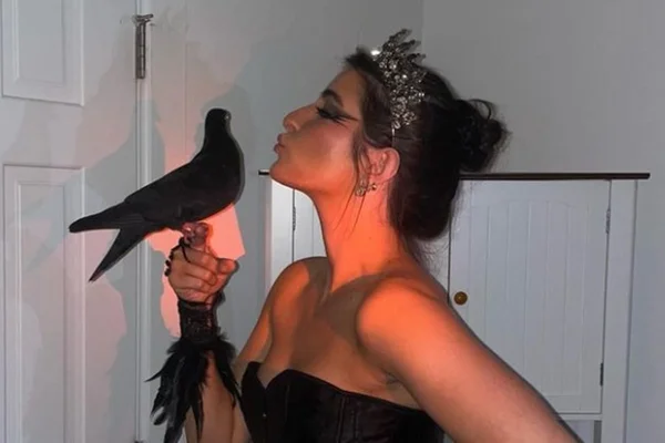 Vídeo: mulher “adota” pomba como pet e a leva para festas em Nova York