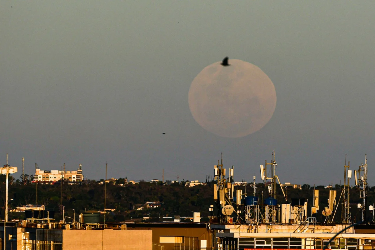 A Lua de morango encantou moradores do Distrito Federal nesta segunda-feira (29/6). O fenômeno pode ser observado a olho nu e permanecerá visível durante toda a noite A Lua de morango encantou moradores do Distrito Federal nesta segunda-feira (29/6). O fenômeno pode ser observado a olho nu e permanecerá visível durante toda a noite