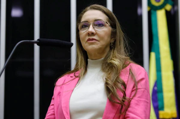 A deputada Sonize Barbosa