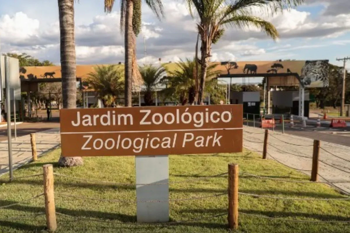 Zoológico de Brasília terá entrada gratuita no Dia das Crianças