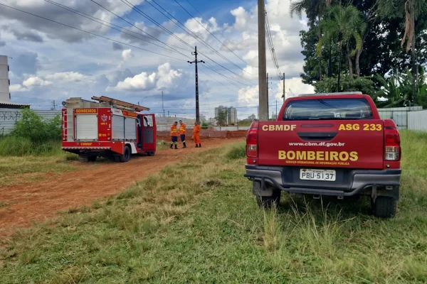 viaturas do corpo de bombeiros