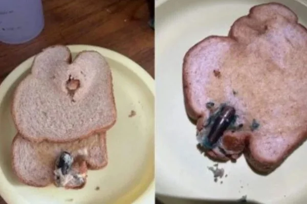 Bala de fuzil em pão de forma