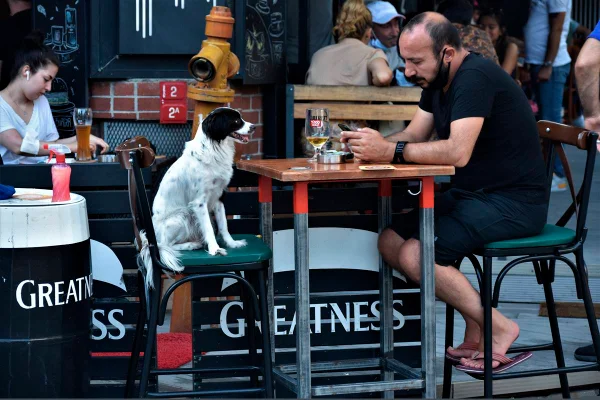Goles e cliques: dependência de tecnologia mudou até a forma como bebemos em um bar
