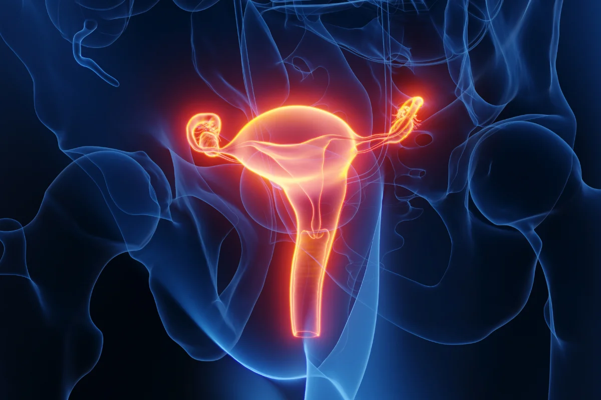 Anomalia rara divide vagina em dois canais; veja impactos