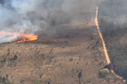 Área da Flona foi atingida por incêndio