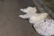 Corpos de duas vítimas foram encontrados em sacos plásticos em Santos Corpos de duas vítimas foram encontrados em sacos plásticos em Santos