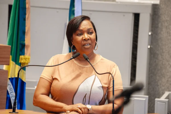CLDF aprova projeto de Doutora Jane que garante aluguel a mulheres vítimas de violência