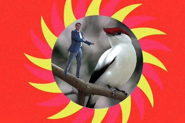 O presidente “bonequeiro” e os animais em extinção