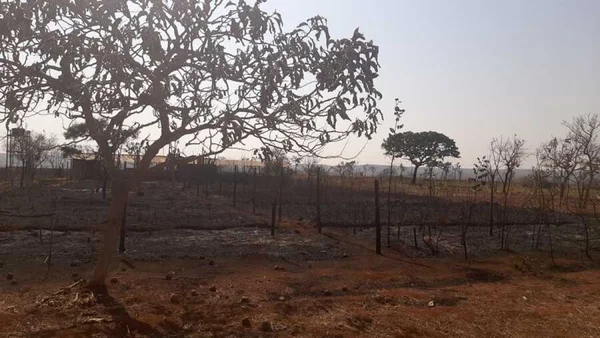 Fazenda ficou destruída