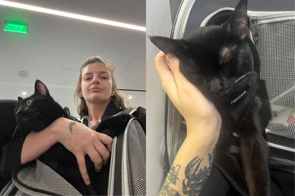 Montagem de duas imagens coloridas de gato e tutora