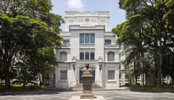 faculdade medicina da usp