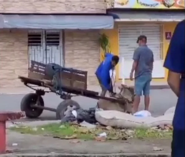 Print de vídeo em que homem aparece agredindo um jumento com cabo de corda