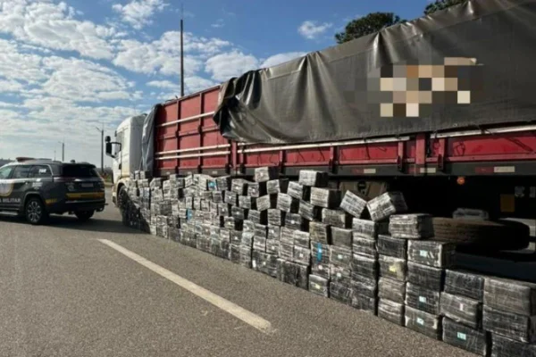 Imagem colorida mostra carga de maconha aprendida pela PM no interior - Metrópoles