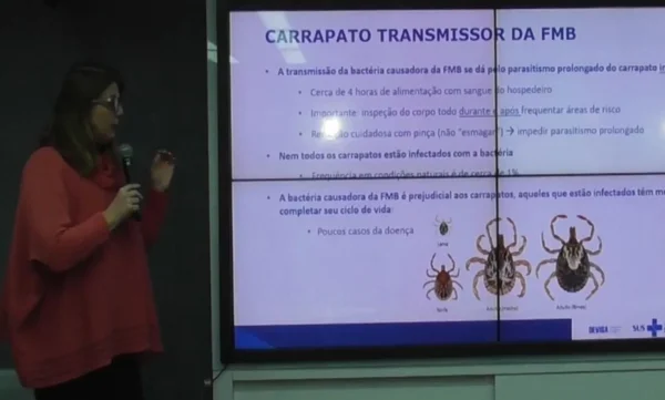 febre maculosa