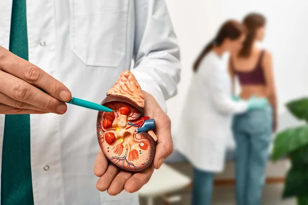 Rins transplante doação de órgãos