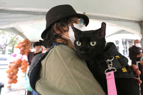 São Francisco de Assis: animais recebem bênção no Rio e em SP - imagem 5 São Francisco de Assis: animais recebem bênção no Rio e em SP - imagem 5