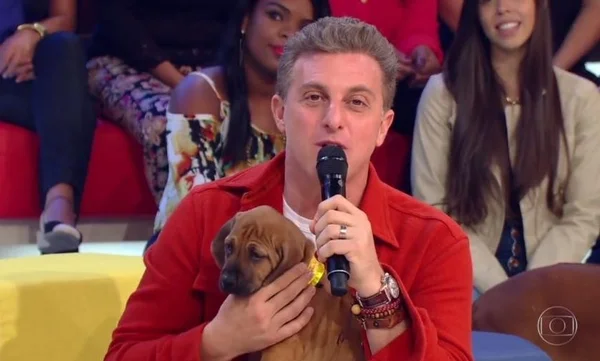Huck diz que seria insanidade abandonar carreira e lançar candidatura