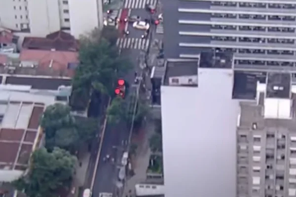 Imagem colorida de bombeiros atendendo chamado de queda de árvore. Metrópoles