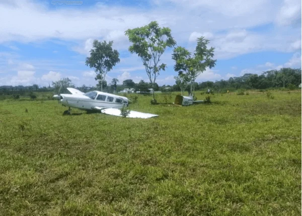 Avião parte ao meio após bater em vaca durante decolagem. Vídeo