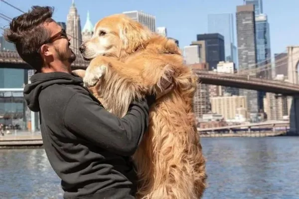 Velório de Jesse Koz em SC terá transmissão ao vivo e cães terapeutas