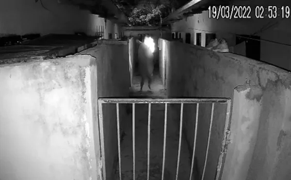 Mulher tenta se livrar de roupa em chamas dentro de casa Goiânia Goiás