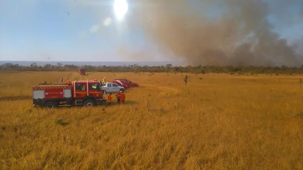 Incêndio devasta trecho do Parque Nacional de Brasília