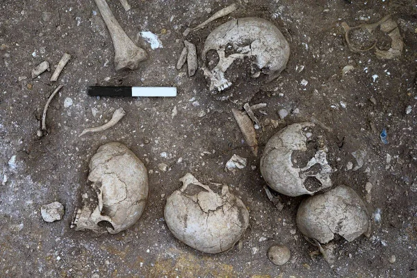 Imagem colorida mostra crânios encontrados em escavação feita pela Universidade de Cambridge - Metrópoles
