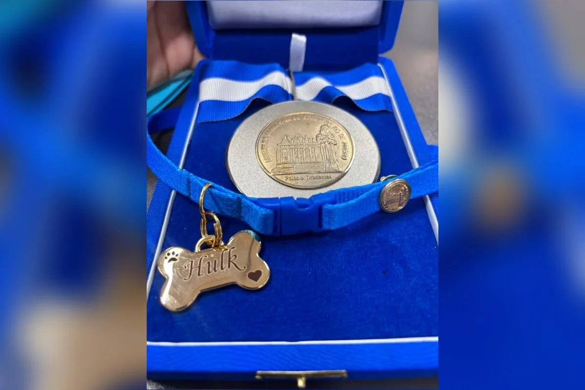 Hulk, cão que farejou 48 t de maconha, recebe medalha em forma de osso