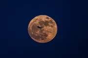 Lua de Morango em Nuseirat