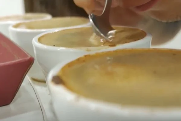 Cultivo sustentável de café na Costa Rica