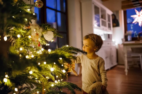 Luzes de Natal