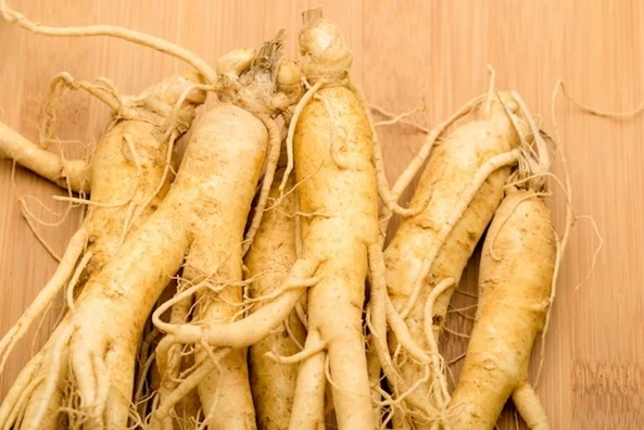 Ginseng: raiz ajuda a melhorar desempenho físico e aliviar lesões