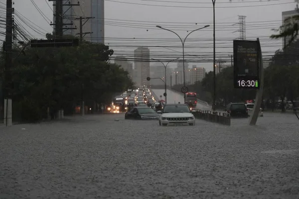 Em SP, temporal causa 2 mortes, derruba 62 árvores e trava o trânsito