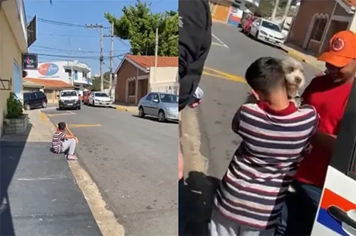 Menino reencontra cadela perdida em SP