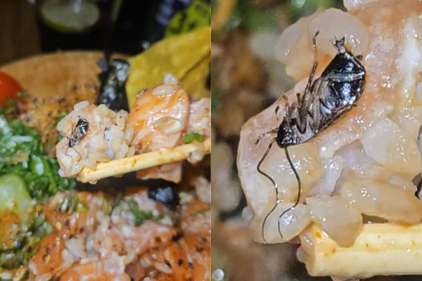 A barata no poke de Tales Ordakji não foi a primeira encontrada no restaurante que fica na "Rua Gastronômica de Santos", no litoral paulista - Metrópoles