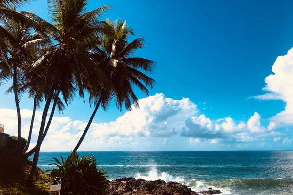 imagem de praia brasileira