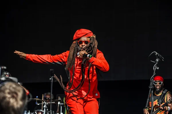 Steel Pulse, banda inglesa