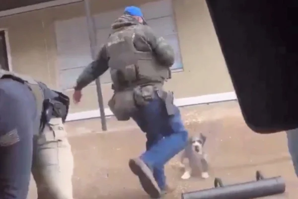 Foto colorida de agente federal chutando cachorro durante abordagem nos EUA - Metrópoles