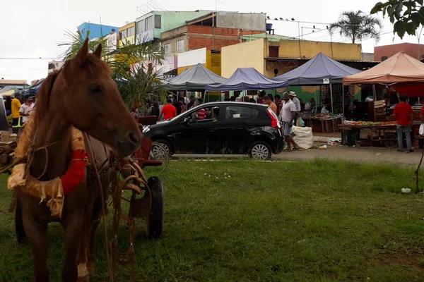 A Estrutural é uma cidade teimosa, resiste a tudo, ao começo e ao fim