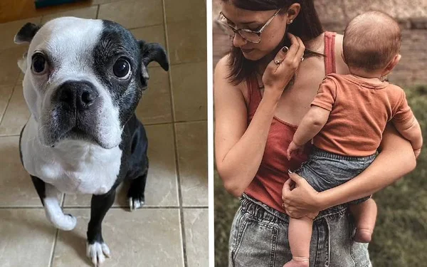 Cachorro e mulher segurando um bebê