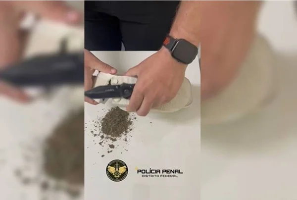 maconha dentro de chinelo
