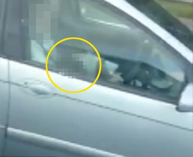 Mas não foi apenas isso: o motorista estava recebendo sexo oral de uma mulher Mas não foi apenas isso: o motorista estava recebendo sexo oral de uma mulher